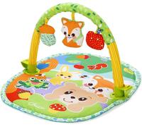 Chicco Gioco Mf 3in1 Activity Gym