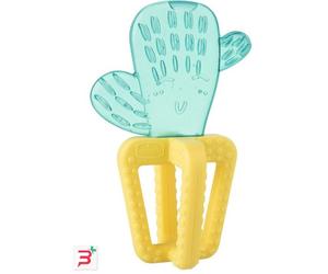 CHICCO MASSAGGIA FRESH CACTUS 4M+