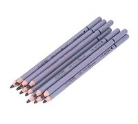CHICIRIS 12 Matite a Carboncino, Matite per Schizzi Dal Disegno Liscio per Opere D'arte Dettagliate, con Materiali Artistici a Carboncino per Ombreggiature e Pittura