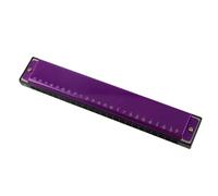 CHICIRIS 24 Hole Key of C Diatonic Armonica, Metal Abs Professional Bouth Organ for Music Student, Insegnante, Principiante con Polifonia (PURPLE)
