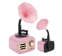 CHICIRIS Altoparlante Bluetooth retrò con Suono Stellare per Feste e Uso Occasionale in Design Leggero e Compatto e modalità di compatibilità Multiple (PINK)