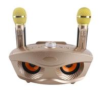 CHICIRIS Altoparlante Karaoke, Altoparlante Bluetooth Portatile con Due Microfoni per Feste in Casa, Batteria da 3000 MAh, Goditi le Serate KTV in Famiglia (GOLD)