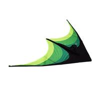 CHICIRIS Aquilone Triangolare della Prateria, 160x80 Cm con Coda a Spirale per Bambini e Adulti, Facile da Montare e Far Volare, Forte Asta da Aquilone e Corda per Giochi All'aperto in