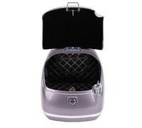 CHICIRIS Bauletto Posteriore Bauletto 38L Vintage ABS Universale Adatto per Scooter e Biciclette Elettriche con Chiave di Blocco (BROWN)