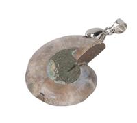 CHICIRIS Ciondolo con Ammonite Design Vintage Unico Realizzato a Mano per gli Amanti Dell'oceano Regalo 1x Ciondolo con Conchiglia di Ammonite