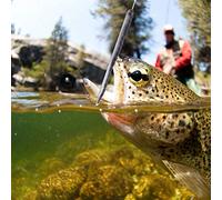 CHICIRIS Esche da Pesca, Esca per Lombrichi in Silicone da 1,7 G, Design Realistico, Perfetta per gli Appassionati di Pesca d'acqua Dolce