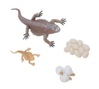 CHICIRIS Figurina del Ciclo di Vita della Lucertola, Modello Realistico | Materiale in PVC, Sicuro e Inodore, Decorazione per Tavolo di Sabbia, Giocattolo Interattivo per L'apprendimento a Casa e a