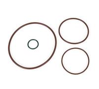 CHICIRIS Kit Anelli di Tenuta per Pompa a Vuoto Set O-ring in ABS 06D145100H Sostituzione Buona Tenuta Montaggio Diretto Installazione Semplice per GLI A3 TT Dal 2005 Al 2008.5 2.0T FSI