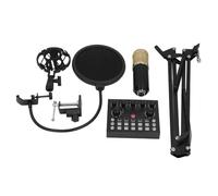 CHICIRIS Microfono per Streaming Live, Microfono a Condensatore Cardioide con Chip DSP per la Riduzione del Rumore, Scheda Audio a Doppio Canale con 3 Variazioni di Suono e 10 Effetti,