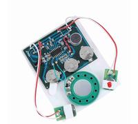 CHICIRIS Modulo di Registrazione Vocale Chip con Batteria a Bottone, Ottimo per Progetti Artigianali - Controllo a Doppio Pulsante Cablato, Controllo dei Tasti (Versione via cavo estesa)