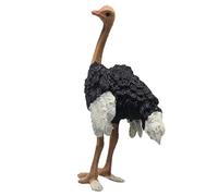 CHICIRIS Statuetta Realistica di Struzzo, Giocattolo Modello Animale Selvatico in Plastica Realistica con Design Ispirato All'enciclopedia per il Gioco Educativo dei Bambini
