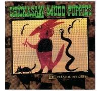 Chickasaw Mudd Puppies - 8 Track Stomp by Chickasaw Mudd Puppies (1991) Audio CD