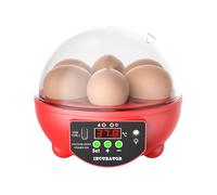 Chicken Egg Incubator - 6 slot Automatic Hatching Box, Clear Window Poultry Incubator with Temperature and Humidity Control | Hatching Device for Chicken, Duck, Quail, Bird Farm, Home, Educational Use