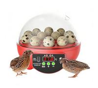 Chicken Egg Incubator - Incubators For Hatching Eggs, Incubators For Hatching Eggs, Clear Window Egg's Hatchings Incubator With Automatic Temperature and Umidity Control For Chicken Duck Quail