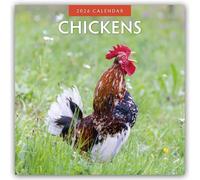 Chickens - Hühner 2026 - 16-Monatskalender: Original Red Robin Publishing Ltd-Kalender [Mehrsprachig] [Kalender]