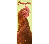 Chickens Slim 2027 Calendar | Slimline Wall Calendar | Bird Gift | Plastic Free Packaging | by Avonside Publishing
