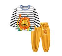 Chickw11 2 Pezzi Pigiama a Maniche Lunghe per Ragazzi e Ragazze Pajama Set 100% Cotone Bambine Ragazzi aeromobili Stampa Pigiama Set, Regalo per Bambini 3-10 Anni (Leone,100cm)