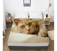 Chickw11 Lenzuolo sotto con Angoli Singolo Matrimoniale, 3D Stampa Microfibra Lenzuolo profondità 30cm ed Elastic per Letto Singolo Doppio Piazza e Mezza (Orange Cat,90x200x30cm)