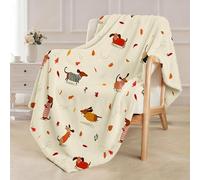 Chickwin Coperta Plaid Pile di Flanella, Coperta Letto Singolo 120x150 cm, Coperta Divano Blanket Grande Caldo Morbida, Leggera, Soffice, Accogliente e lussuosa