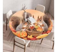 Chickwin Tovaglia Rotonda Antimacchia con Bordo Elastico, Tovaglie da Tavola Stampa Autunnale Zucca Scoiattolo Ringraziamento Copritavolo in Poliestere per Interno Eesterno (Stile 3,110cm)
