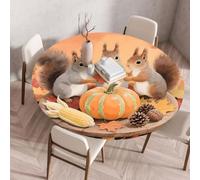 Chickwin Tovaglia Rotonda Antimacchia con Bordo Elastico, Tovaglie da Tavola Stampa Autunnale Zucca Scoiattolo Ringraziamento Copritavolo in Poliestere per Interno Eesterno (Stile 9,70cm)