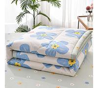 Chickwin Trapuntino Copriletto Matrimoniale Singolo, 3D Semplice Reversibile Coperta Primaverile Autunnale Trapunta Estivo Trapuntato Coperta Letto per Camera da Letto (200x230cm,Fiori Blu)
