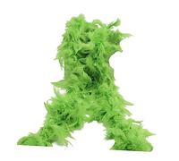 ChicLitonor Piume Come Accessorio per Costume, Sciarpa per Feste di Carnevale, Lunga 2 M, Ghirlanda di Piume Fai da Te Leggera, Boa di Piume per Halloween, Spetta, Verde Chiaro
