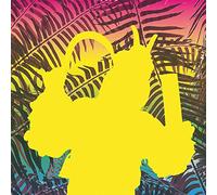 Chico Tropico - Relacion De Riesgo