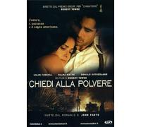 Chiedi alla polvere