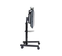 Chief PFCUB LFD supporto con ruote per display
