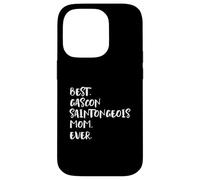 Chien de Virelade Best Gascon Saintongeois Mom Ever Custodia per iPhone 14 Pro