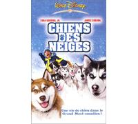 Chiens des neiges