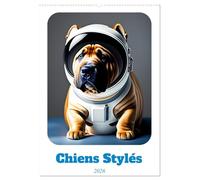 Chiens stylés (Calendrier mural 2026 DIN A2 horizontal), CALVENDO calendrier mensuel: Chiens dans des tenues stylées
