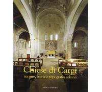 Chiese di Carpi. Tra arte, storia e topografia urbana