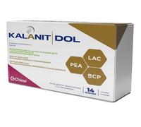 KALANIT DOL 14BUST