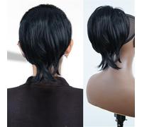 Chignon per capelli, Parrucca corta liscia europea alla moda con clip for coda di cavallo facile da modellare Posticci per capelli da donna(Black)