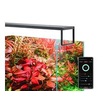 Chihiros WRGBII Slim Edition (Bluetooth integrato) App mobile Controllo Modalità alba e tramonto Modalità multiple integrate Modalità personalizzate ad alta intensità aiuta le piante a mostrare colore