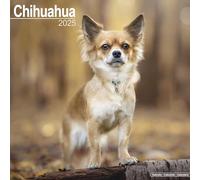Chihuahua 2025 Square Wall Calendar | Dog Breed Calendar