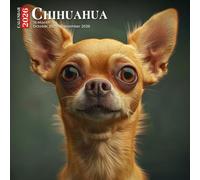 Chihuahua Calendar 2026: Big Personality in Tiny Frames for a Year of Sass