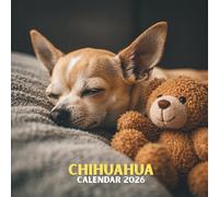 Chihuahua Calendar 2026: Spirited Breed Scenes • U.S. Holidays Marked • Spacious 12-Month Grid • Glossy Finish | 8.5 × 8.5 in