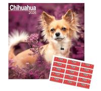 Chihuahua Calendario 2026 | Calendario da parete quadrato di razza di cane | 16 mesi | con adesivi organizzativi
