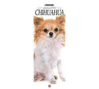 Chihuahua. Calendario 2026. Long