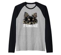 Chihuahua Papà Il Cane Padre Nero Chiwawa Capelli Lunghi Papà Maglia con Maniche Raglan