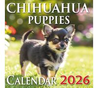 Chihuahua Puppies Calendar 2026: Adorable Moments of the World’s Tiniest and Cutest Puppies