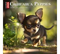 Chihuahua Puppies Calendar 2026: Pocket-Sized Pals Bringing Joy Every Month