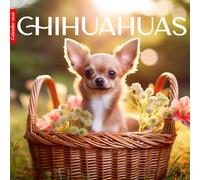 Chihuahuas 2026 Calendar: Tiny Dogs and Adorable Pet Photography
