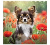 Chihuahuas - Companions for the Whole Year (Wall Calendar 2026 12" x 24" / 30 x 60 cm (aperto) Calvendo 12 Month Wall Calendar