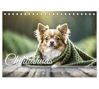 Chihuahuas - Kleine Hunde - große Temperamentbündel (Tischkalender 2026 DIN A5 quer), CALVENDO Monatskalender: Vorwitzige Chihuahuas begleiten durchs ganze Jahr