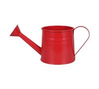 Child Sized Green Metal Watering Pot with Ergonomic Handle for Flower Care