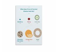 Childbirth Education Gift Labor Stages Poster Cervical Effacement Dilation Print for Expectant Mothers Nursing Student (Unframed,16x24inch(40x60cm))